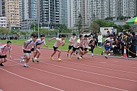 DSC 4130