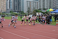 DSC 4131