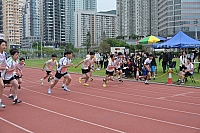 DSC 4132