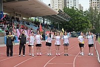 DSC 4253