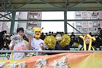 DSC 4323