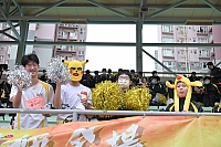 DSC 4324