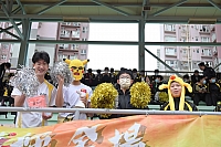 DSC 4325