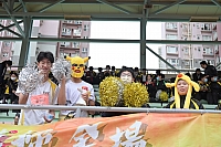 DSC 4326