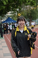 DSC 4331