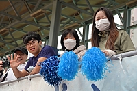 DSC 4339