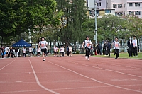 DSC 4439