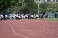 DSC 4455