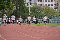 DSC 4460