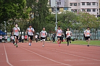 DSC 4461