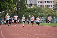 DSC 4462