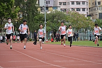 DSC 4466