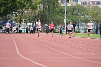 DSC 4499