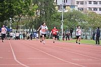 DSC 4503