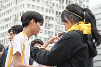 DSC 4518