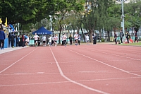 DSC 4526