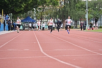 DSC 4530