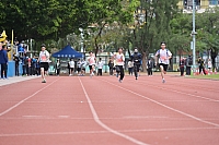DSC 4531