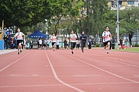 DSC 4533