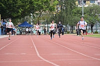 DSC 4535