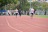 DSC 4536
