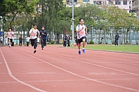 DSC 4537