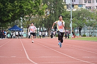 DSC 4540