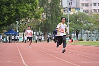 DSC 4541
