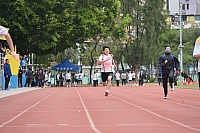 DSC 4542