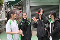 DSC 4548