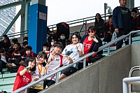 A9103432