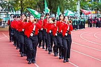 DSE09918