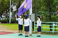 DSE09928