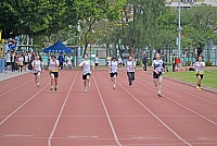 DSG 0392