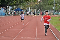 DSG 0873