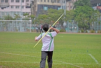 DSG 1118