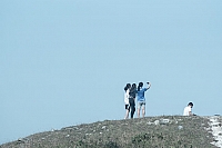 D019
